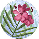 Lois profile picture